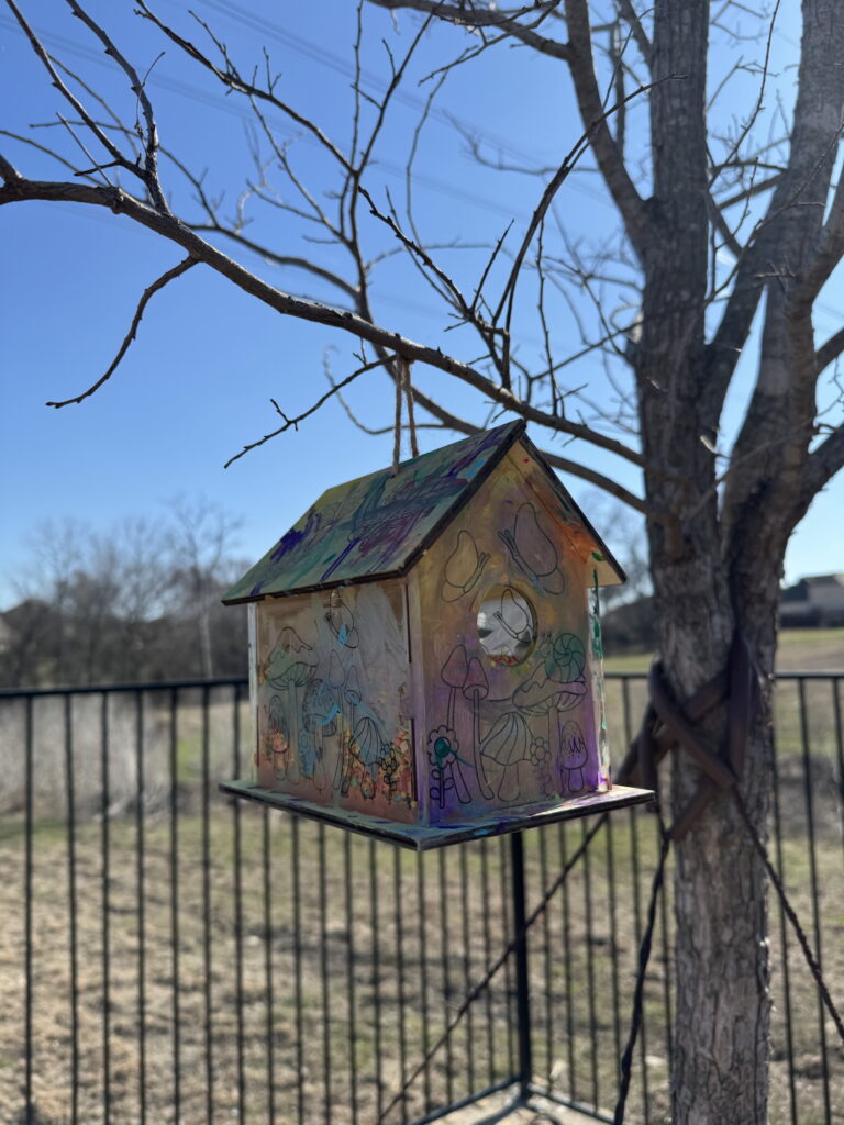 Birdhouse Project